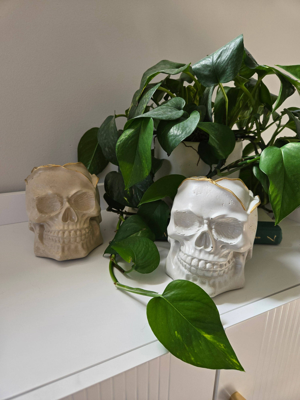 Rose Petal Skull
