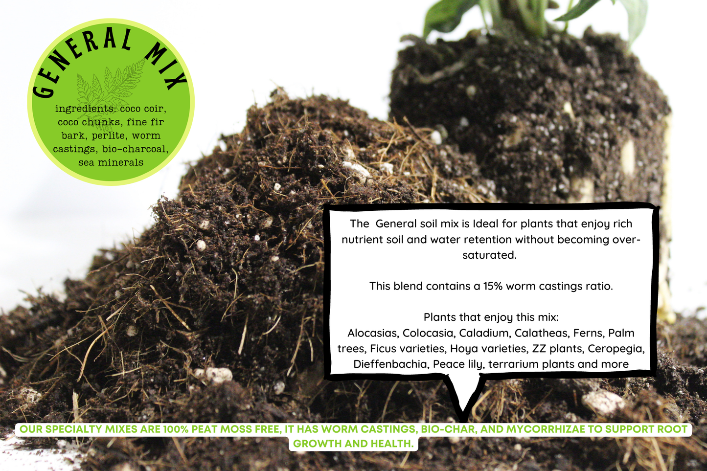 General blend-Potting soil for indoor plants (Copy): Small (3 L)