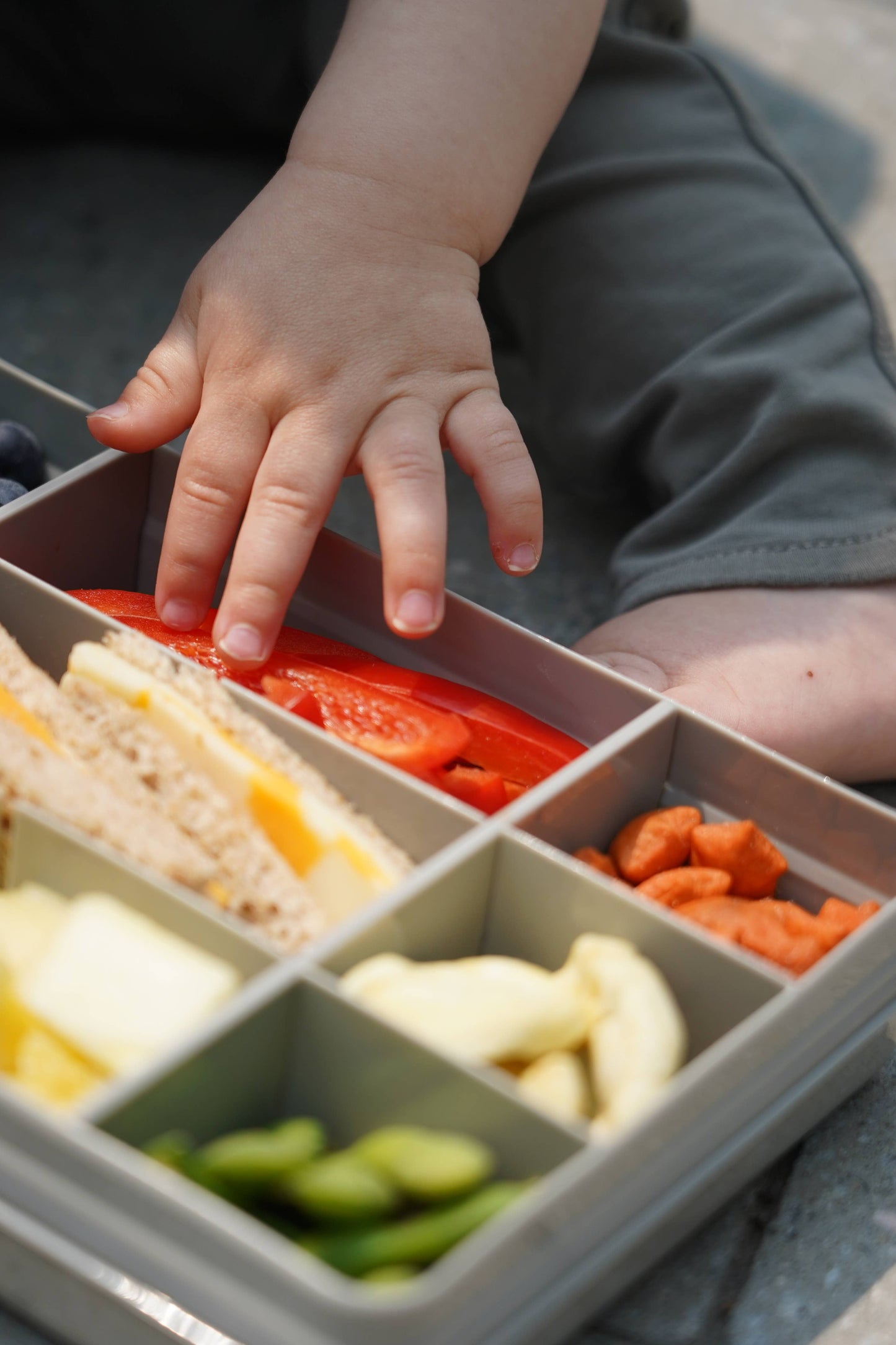 Snackle Box, Divided Snack Container with 12 Compartments