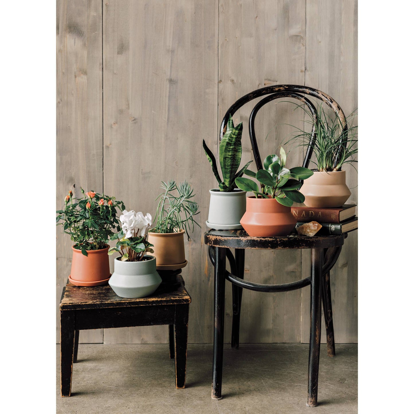 Clay Mesa Plant Pot