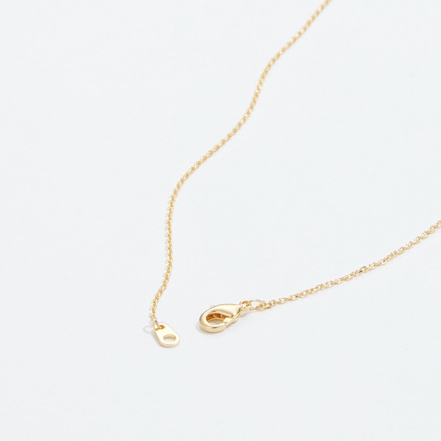 Gold Dipped Wishbone Pendant Necklace