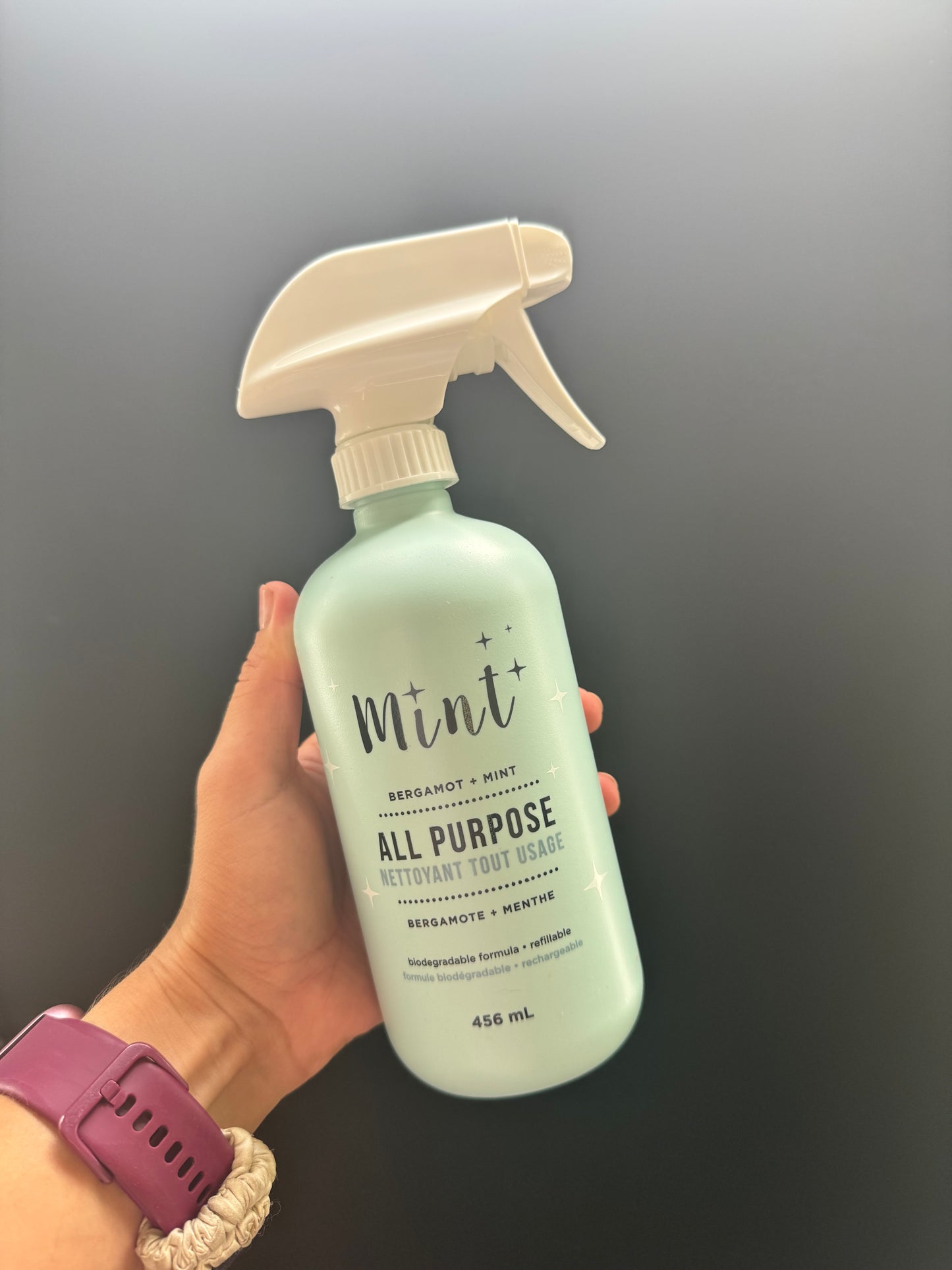 Mint All Purpose Cleaner