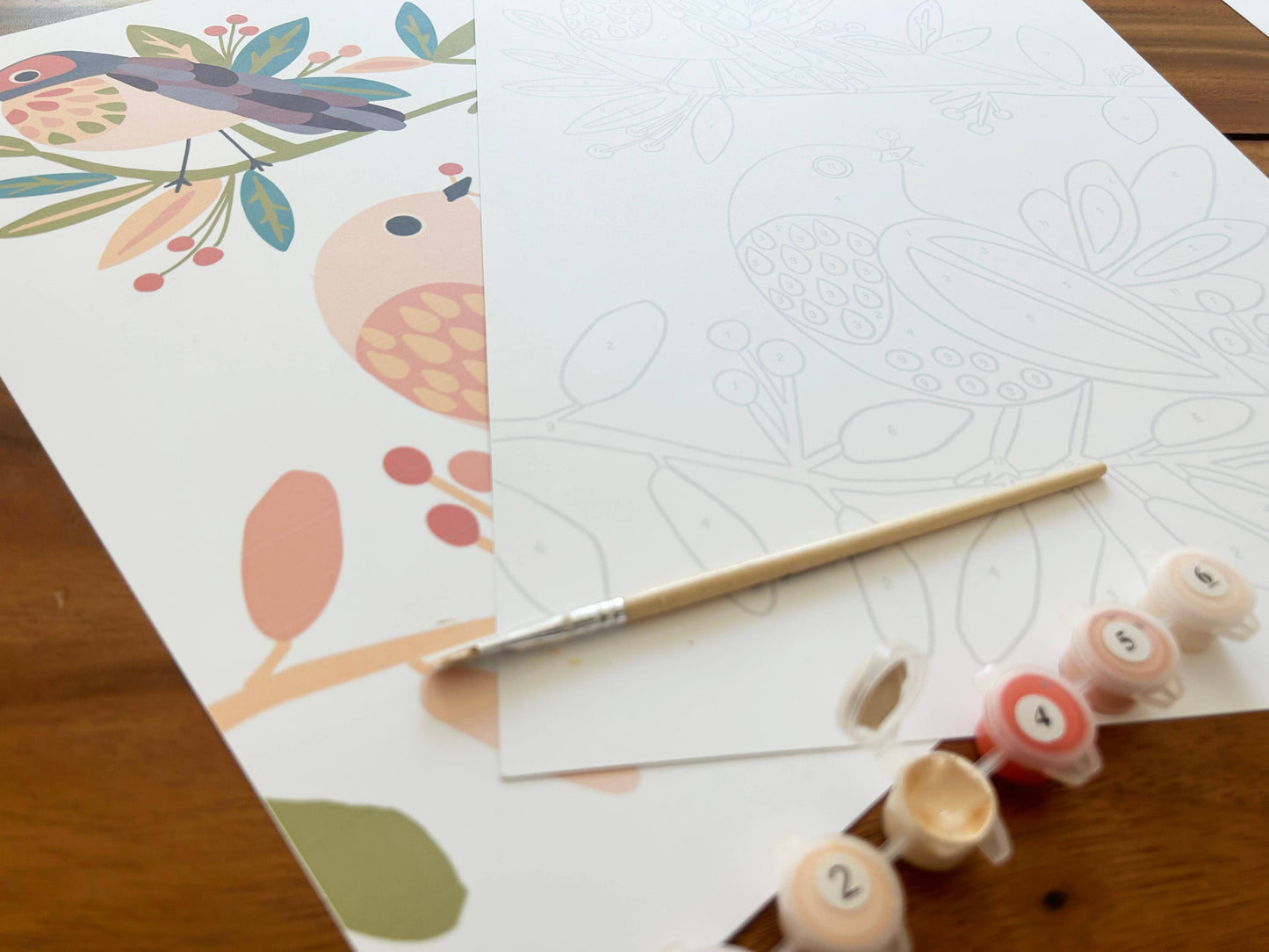 Birds on a Branch Paint by Number Kit