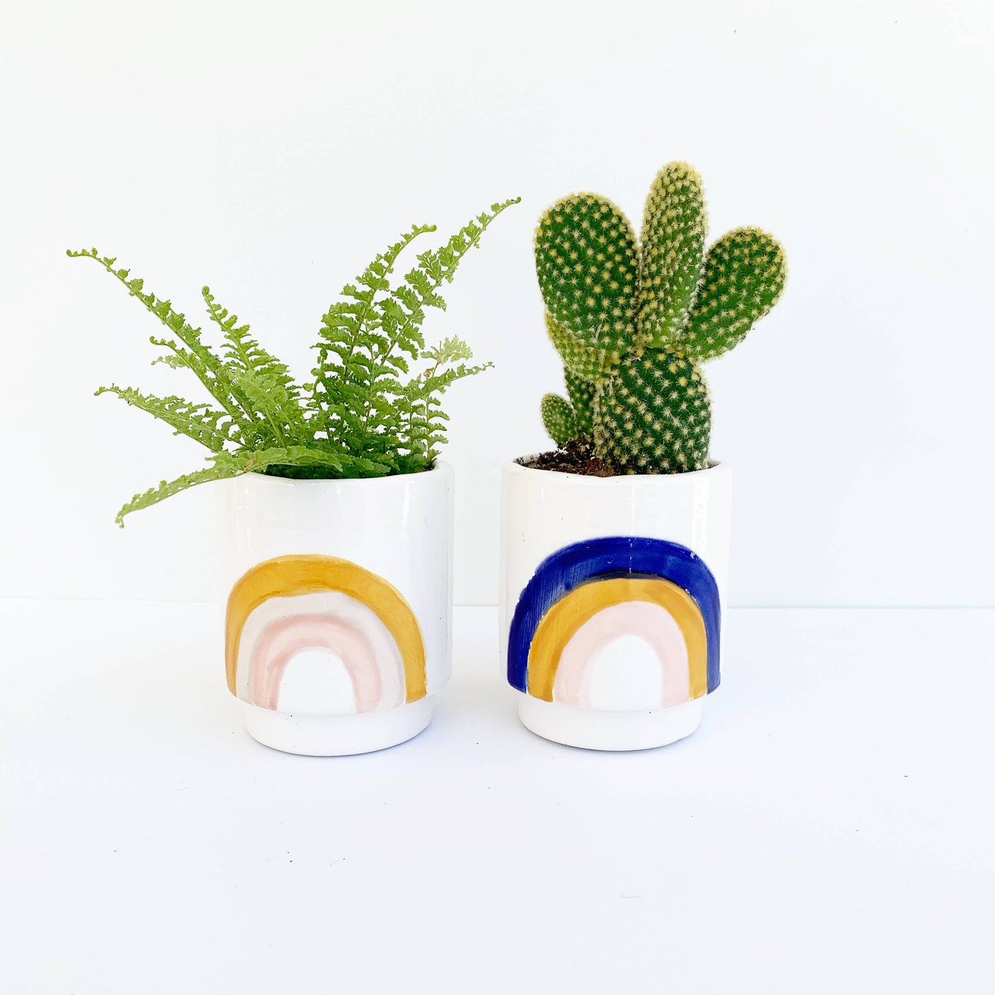 Rainbow Pots