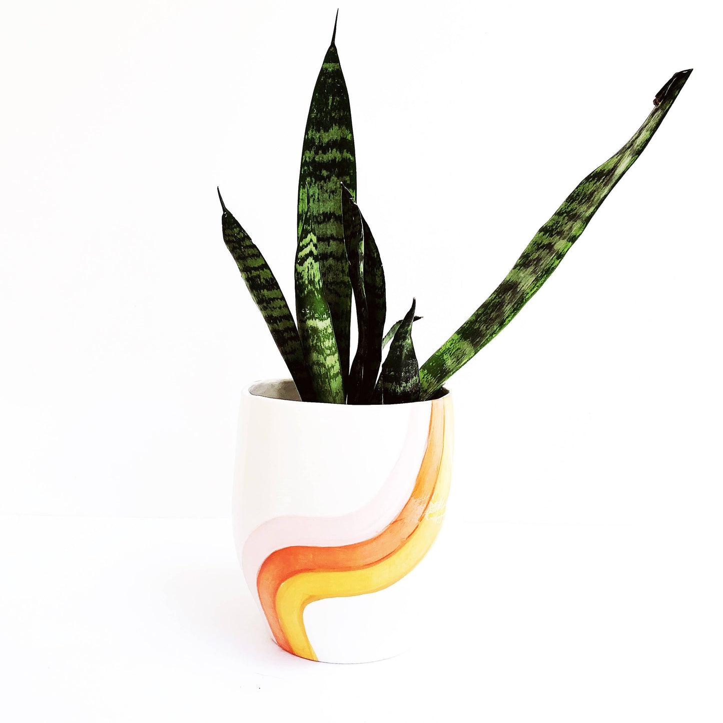 Cali Rainbow Planter