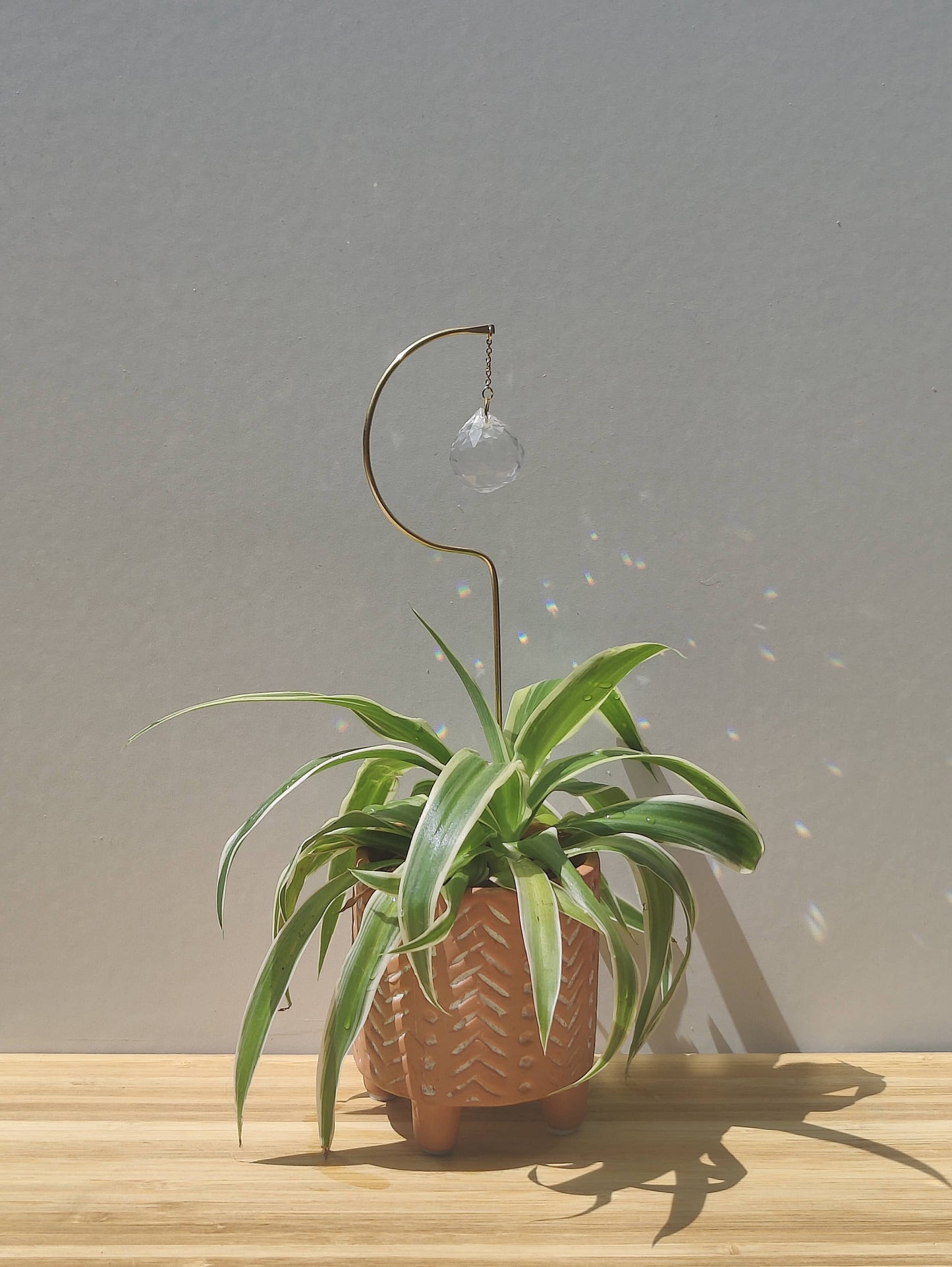 SOLSTICE plantable suncatcher in brass and glass crystal