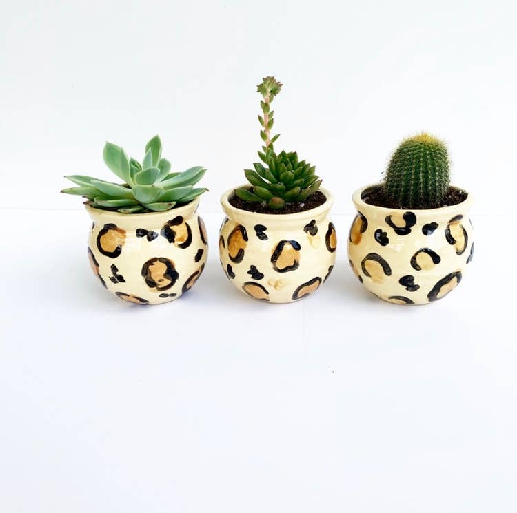 Layla Leopard Pot