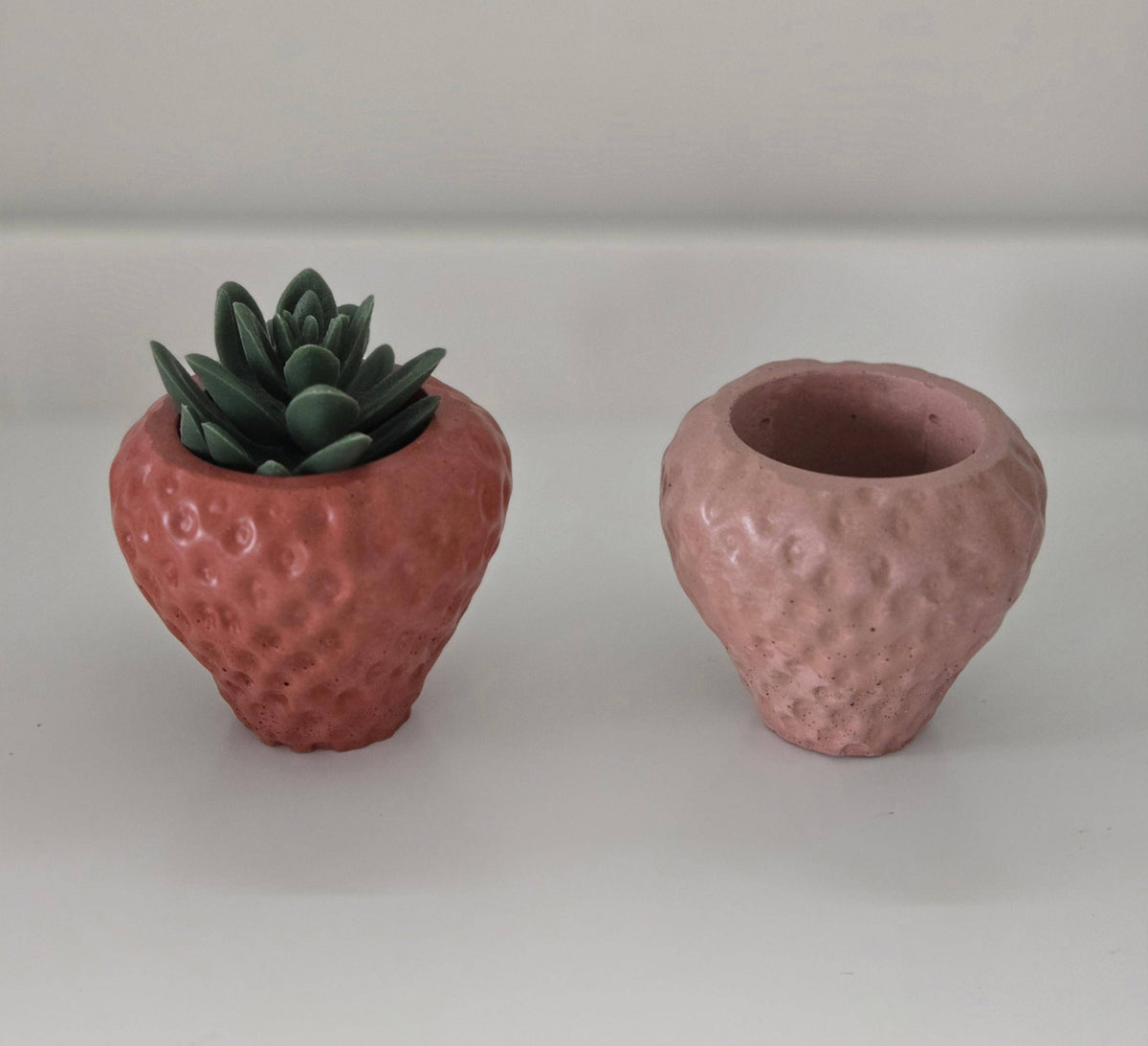 Strawberry Planter