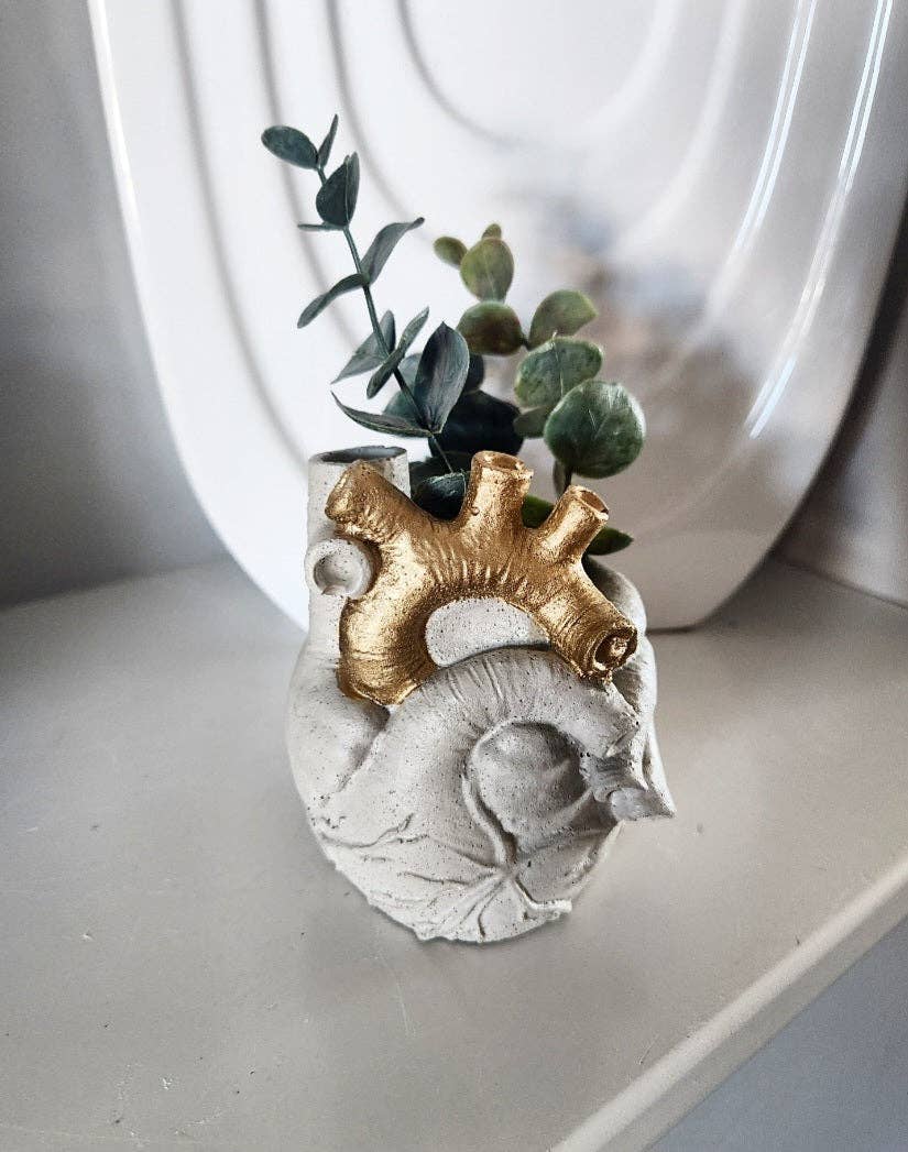 Anatomical Heart