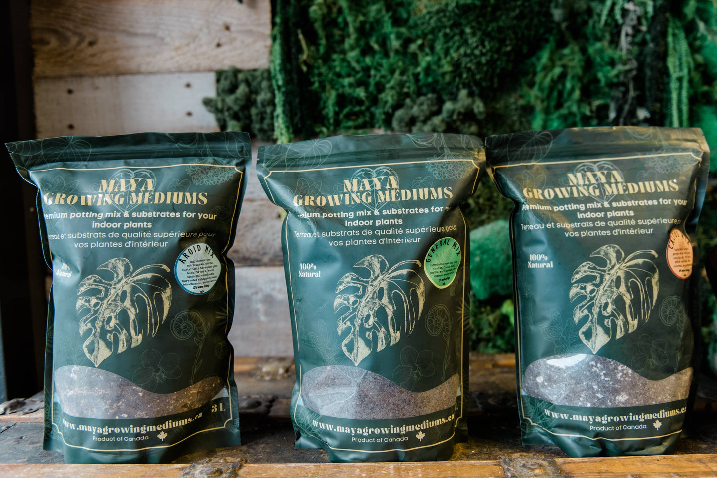 General blend-Potting soil for indoor plants (Copy): Small (3 L)