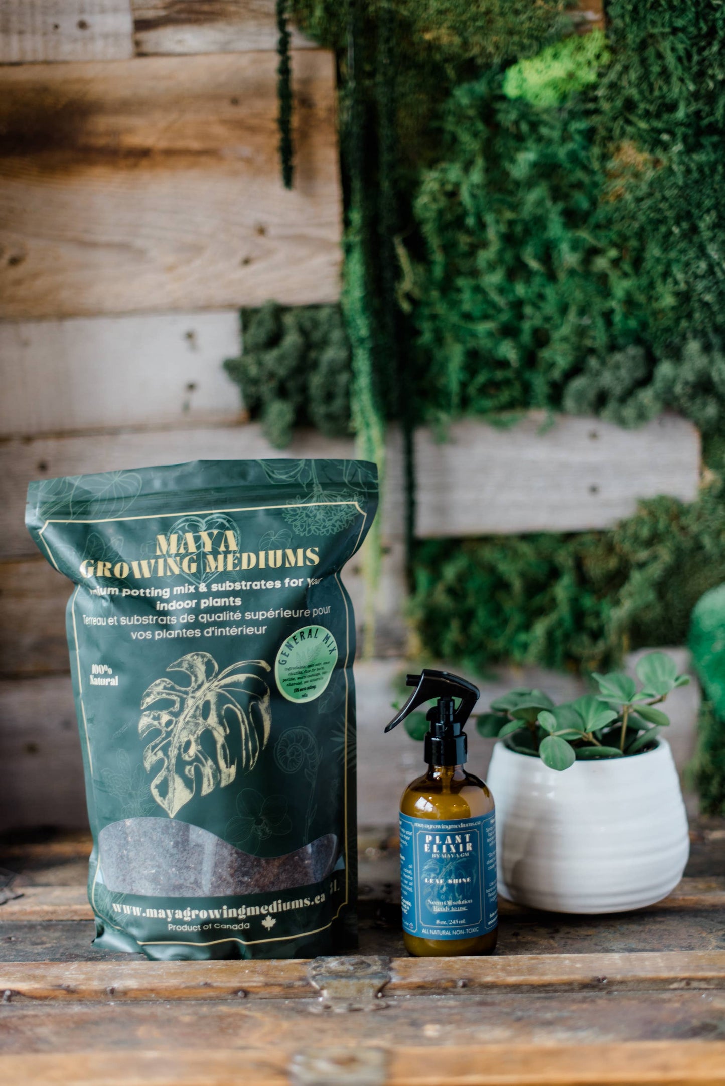 General blend-Potting soil for indoor plants (Copy): Small (3 L)