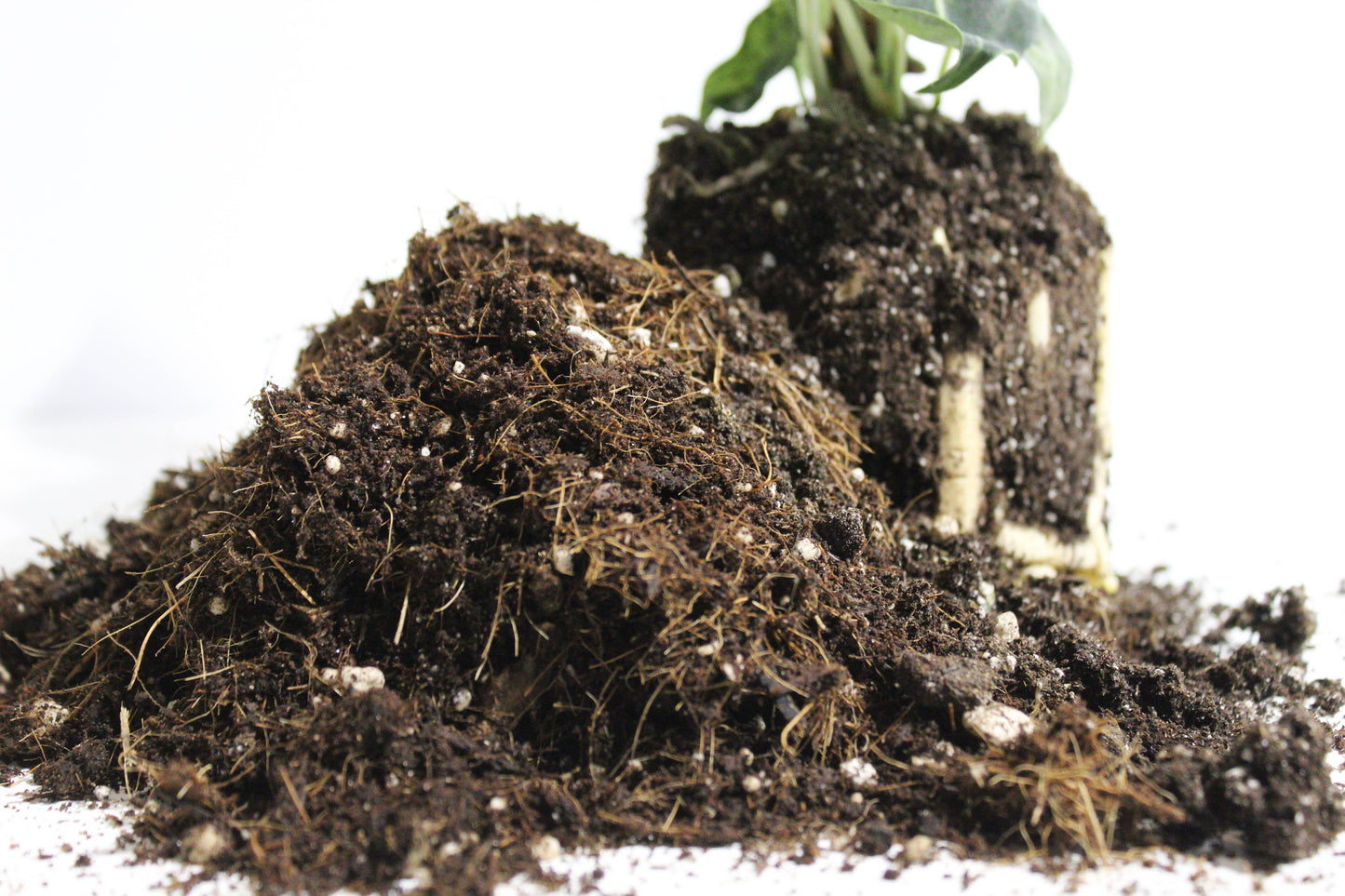General blend-Potting soil for indoor plants (Copy): Small (3 L)