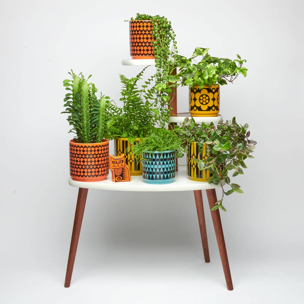 Magpie x Hornsea Medium Planty - Plant Pot Repeat Flower