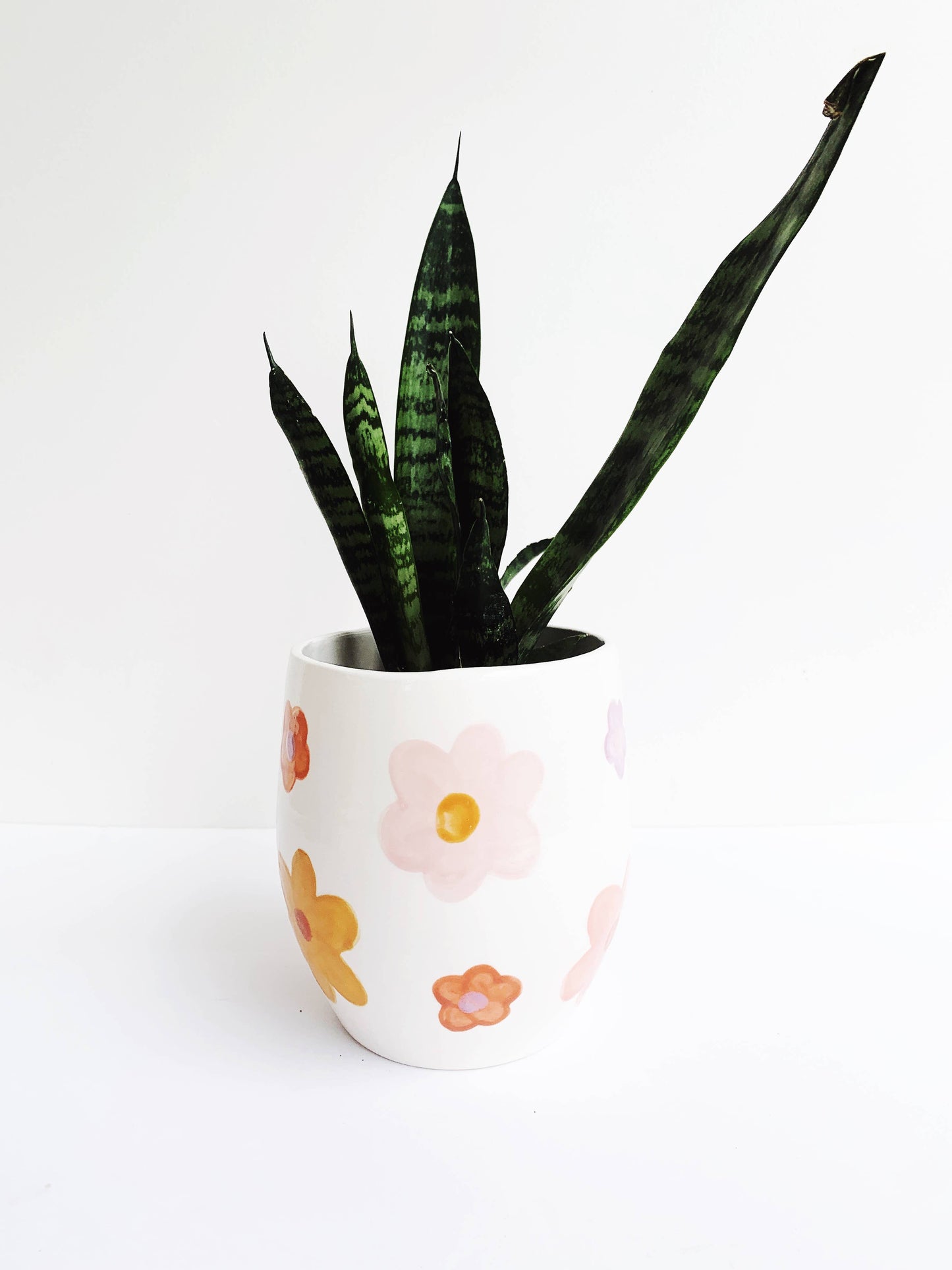 Daisy Design Assorted Colors Plant Pot