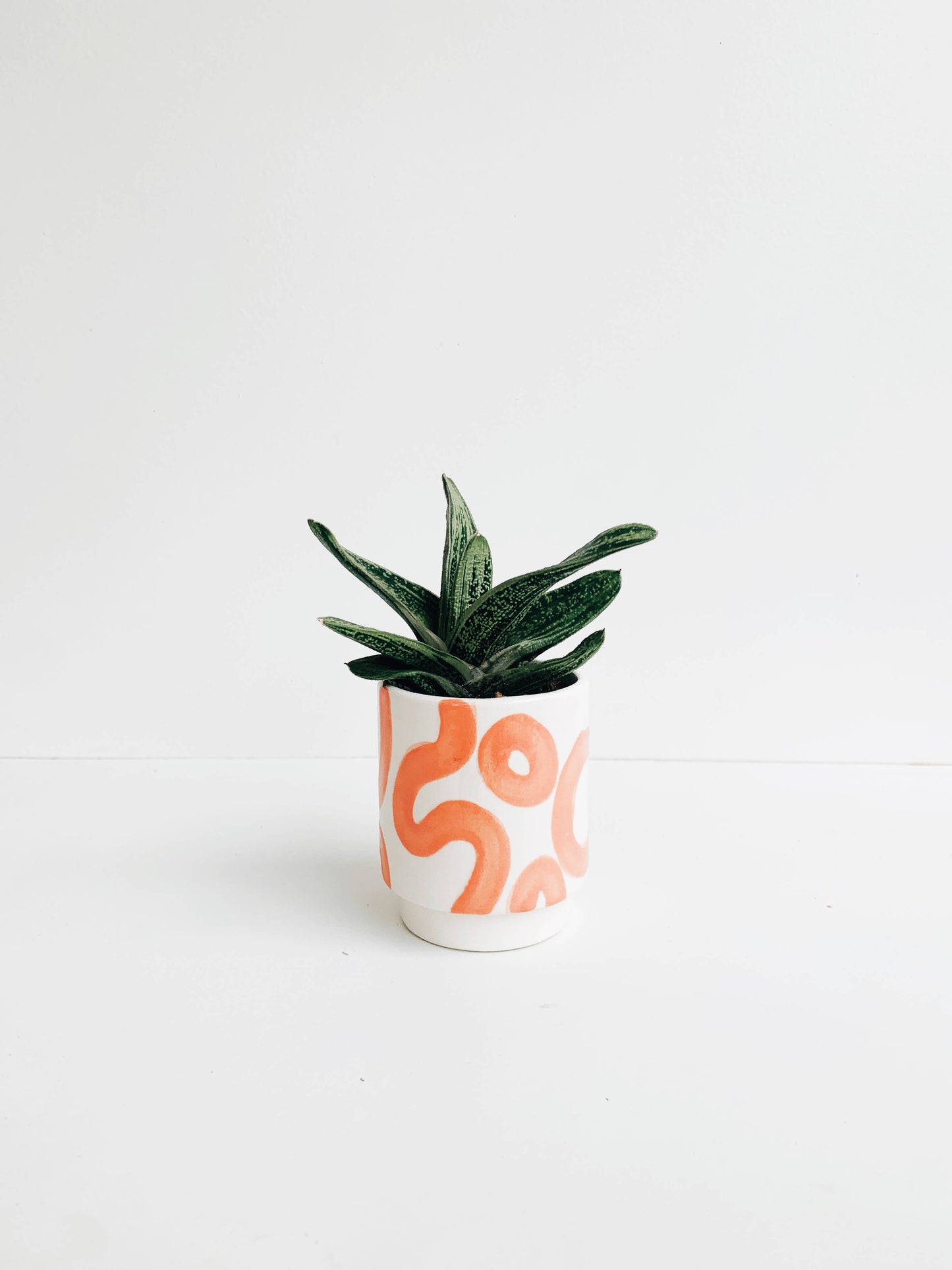 Squiggle Pots