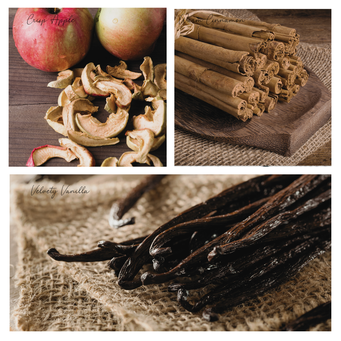 Be Indulgent Simmer Pot Mix, Cozy Apple Vanilla Spice Aroma - Jar Edition