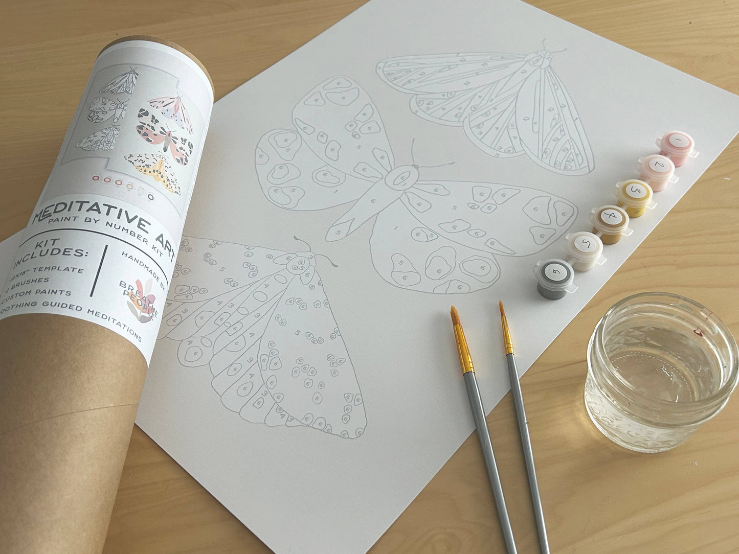 Vintage Butterflies Meditative Art Paint by Number Kit: Paint by Number Kit