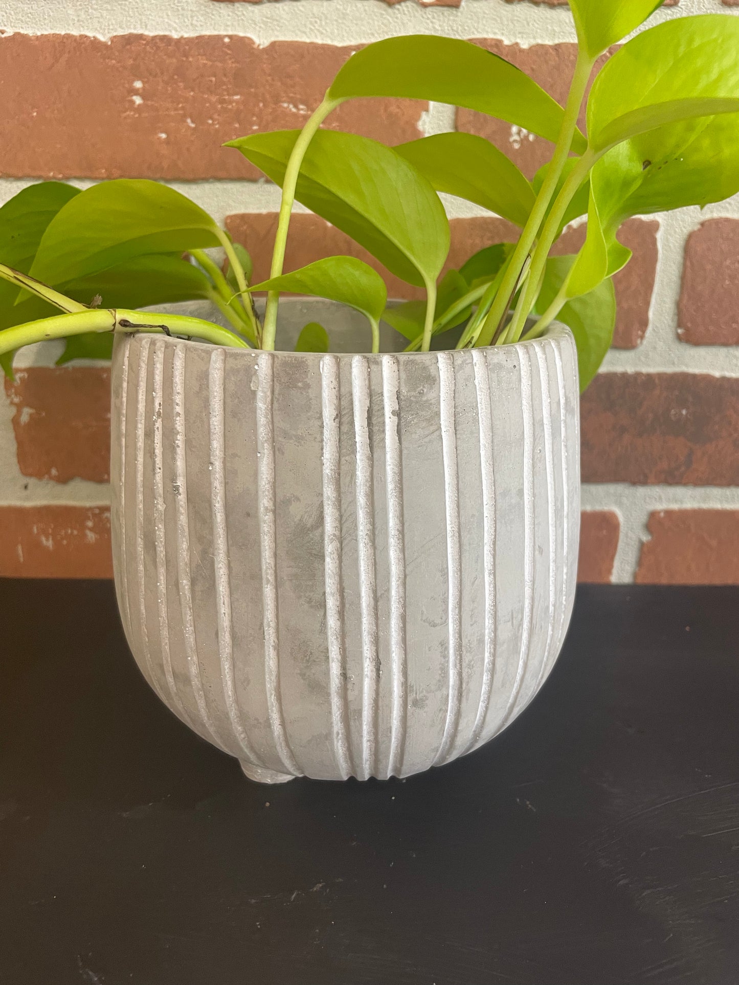 5” Gray Stripe Planter