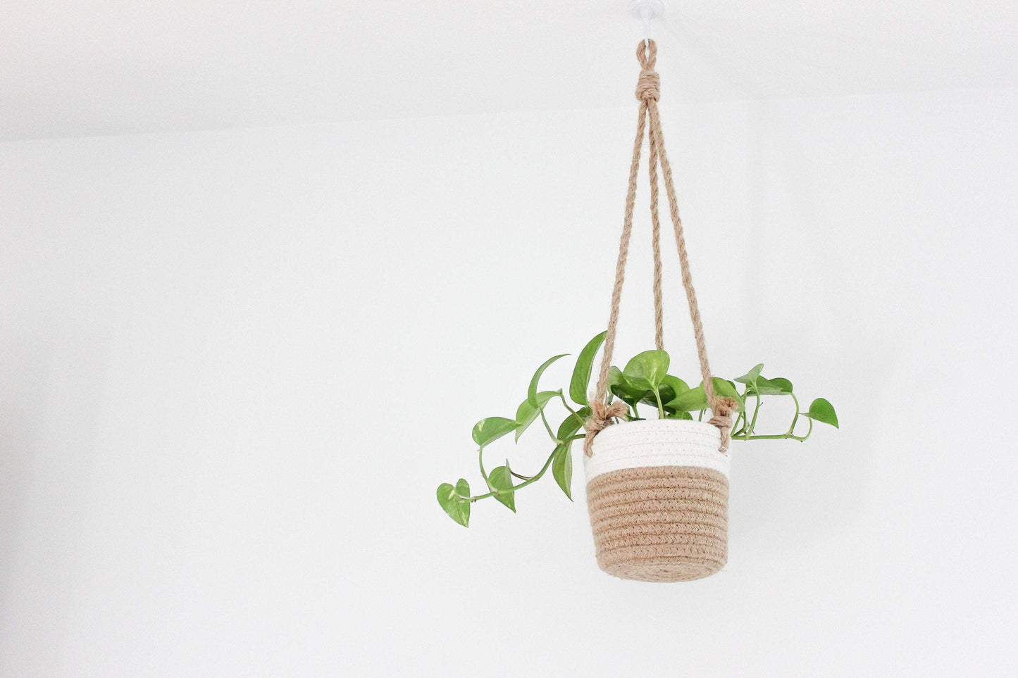 Medium Beige and White Cotton Rope Hanging Planter Basket