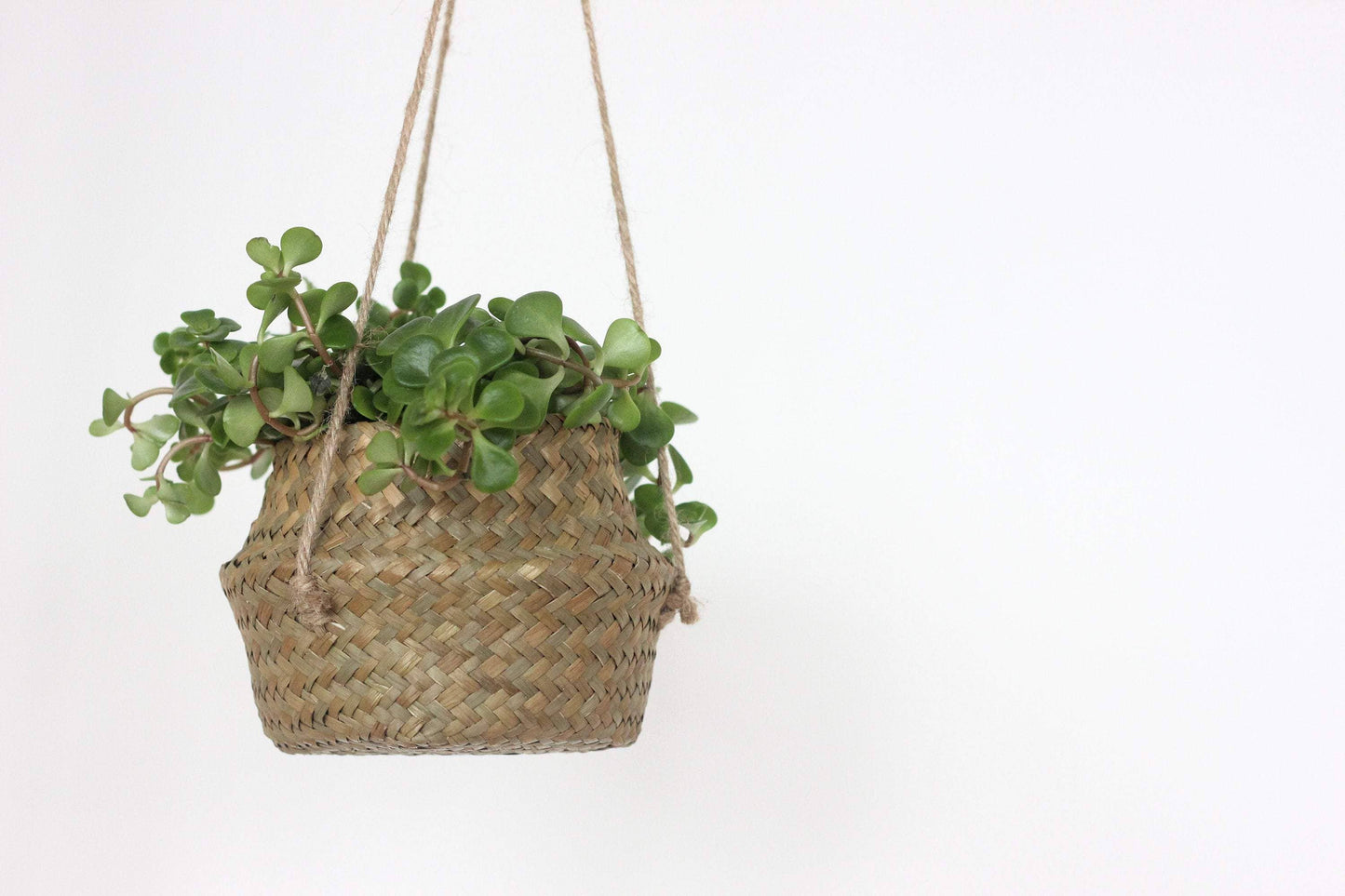 Boho Hanging Seagrass Belly Basket Planter
