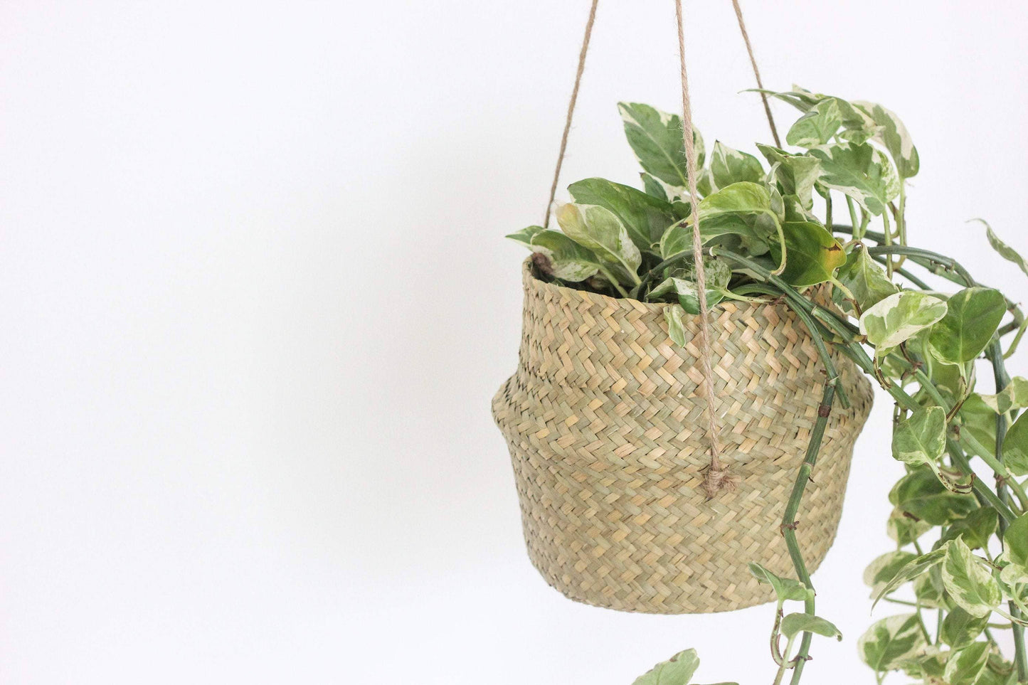 Boho Hanging Seagrass Belly Basket Planter
