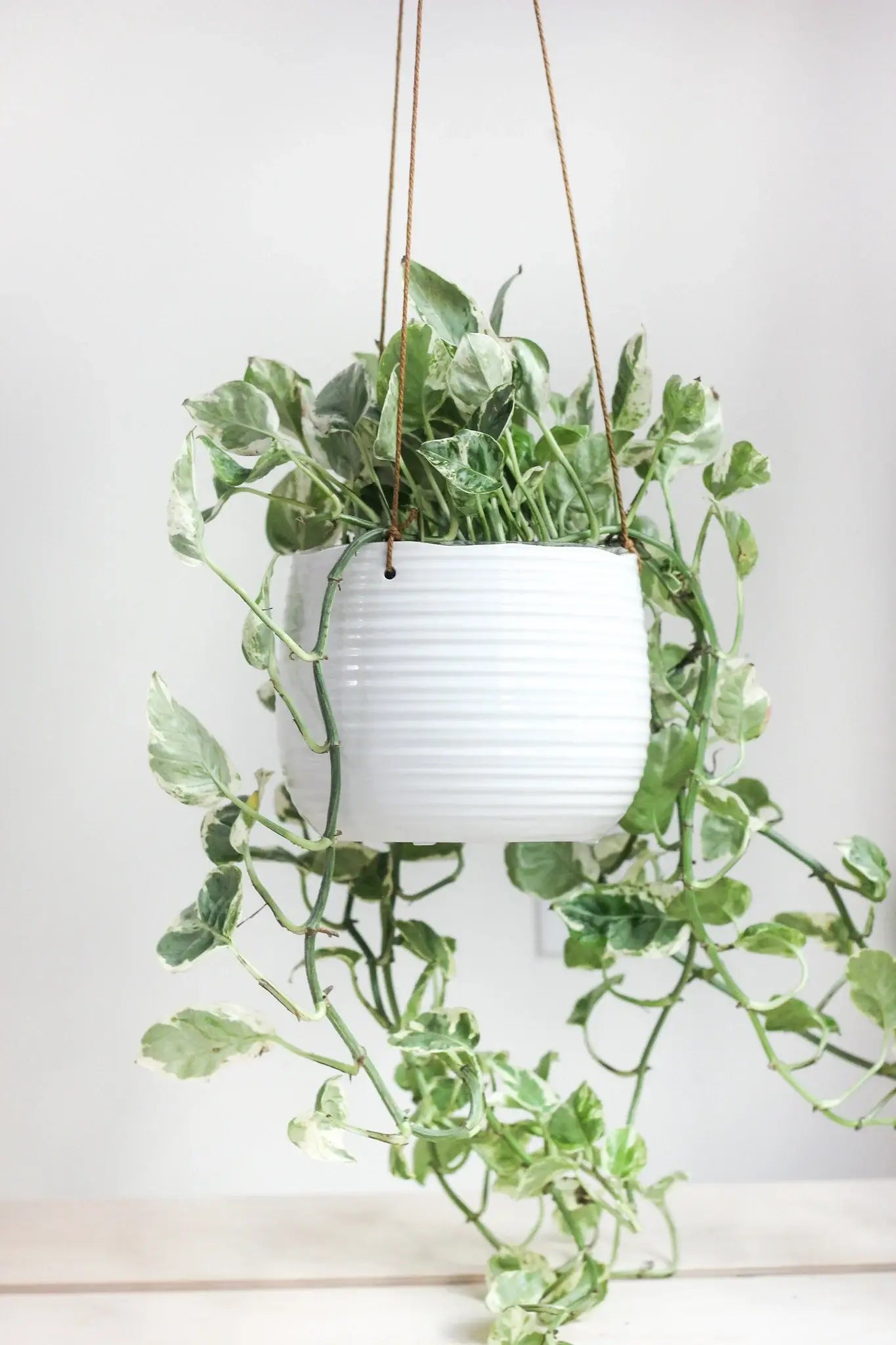 Large Ribbed Glossy White Ceramic Hanging Planter Pot