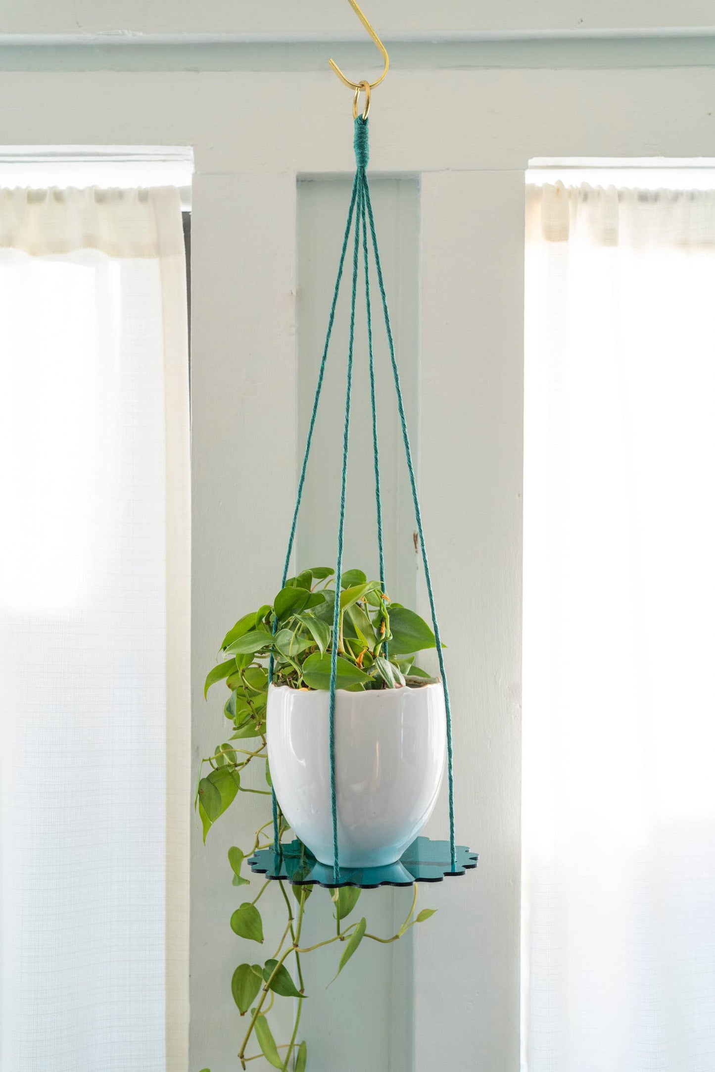 Squiggle Plate Plant Hanger