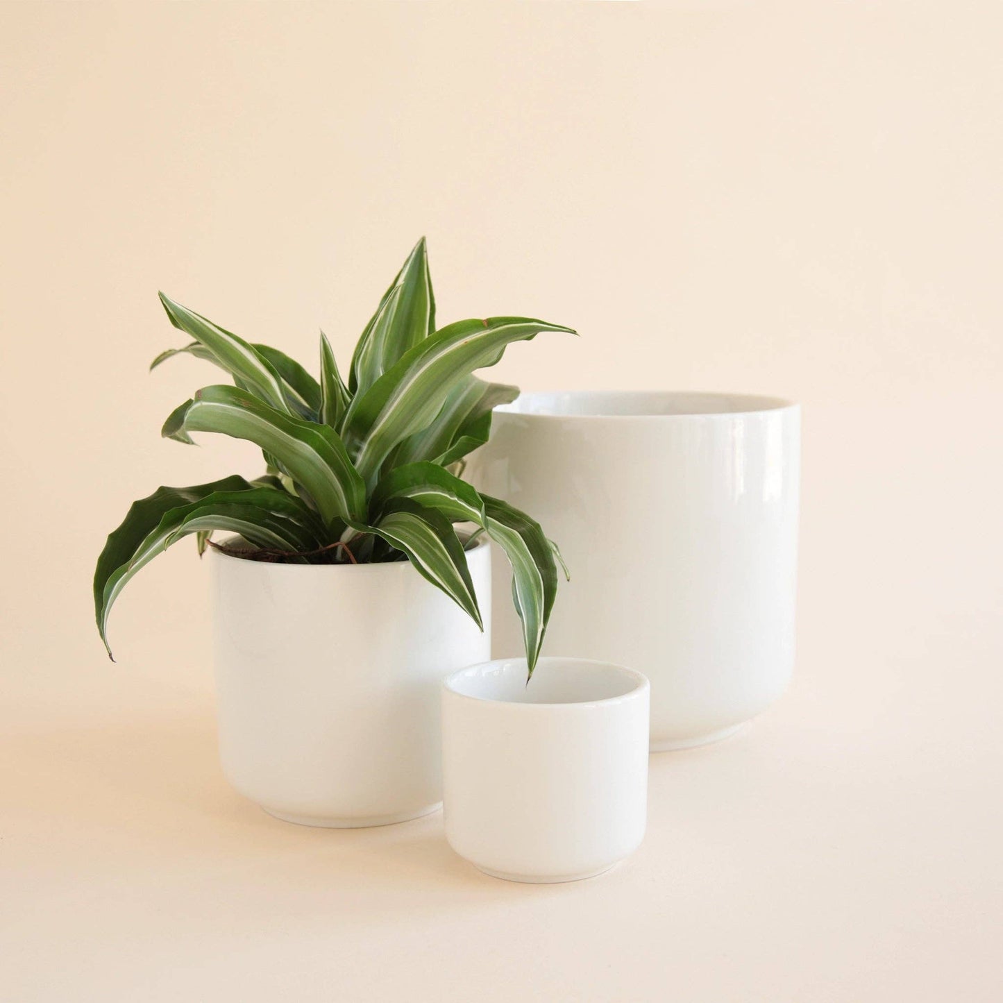 Charlie Pot | White 4.5" & 6.75"