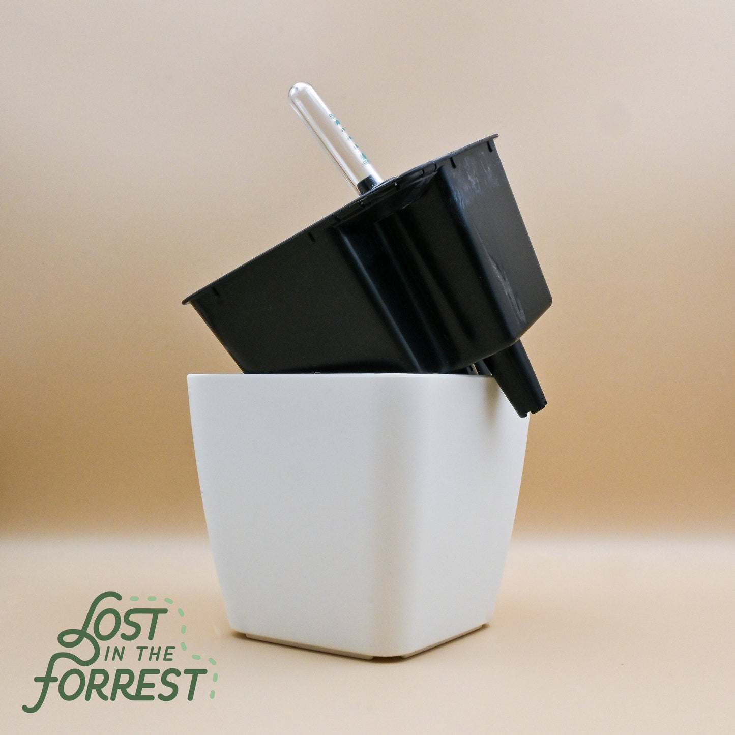 Self-Watering Pot