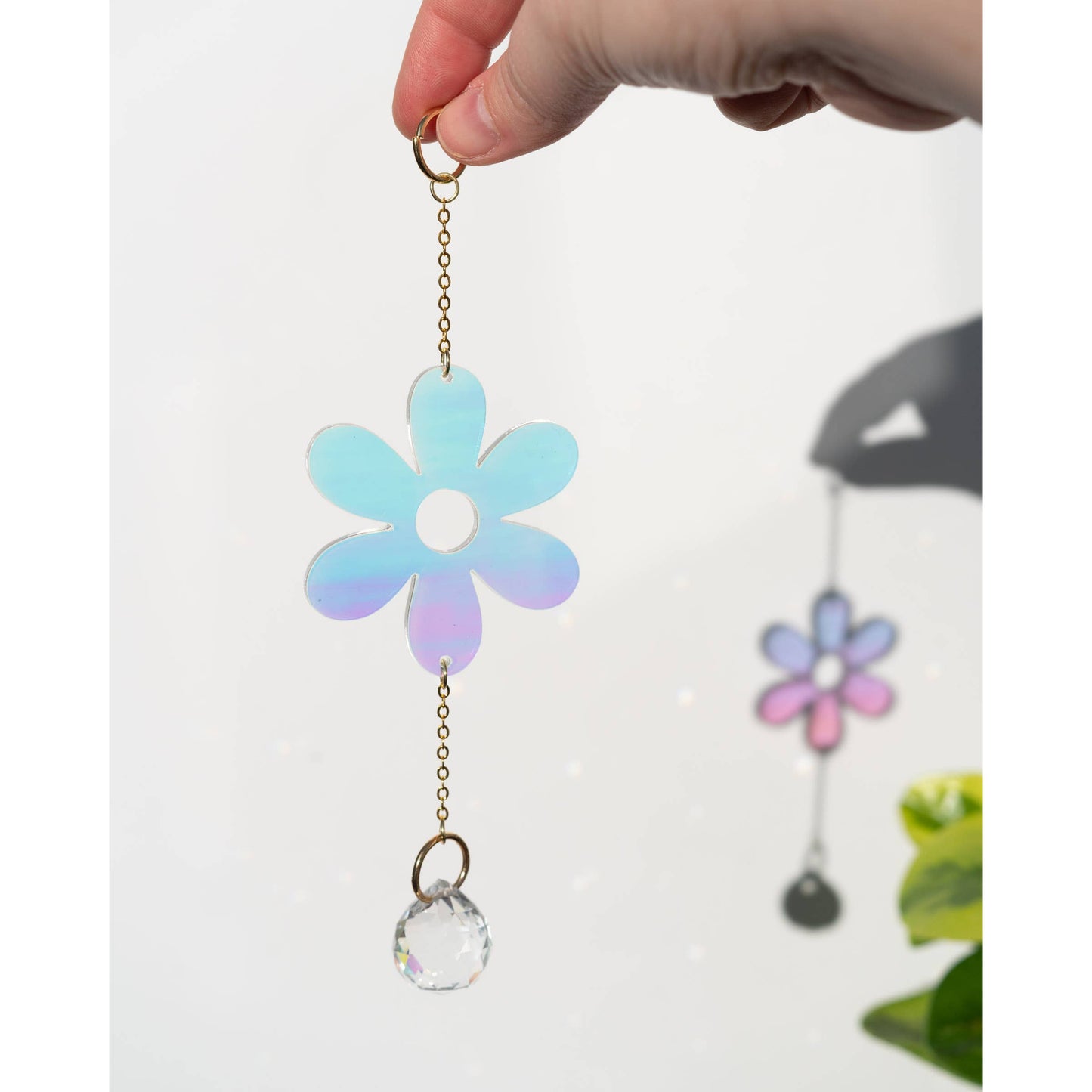 Daisy Singlet Sun Catcher