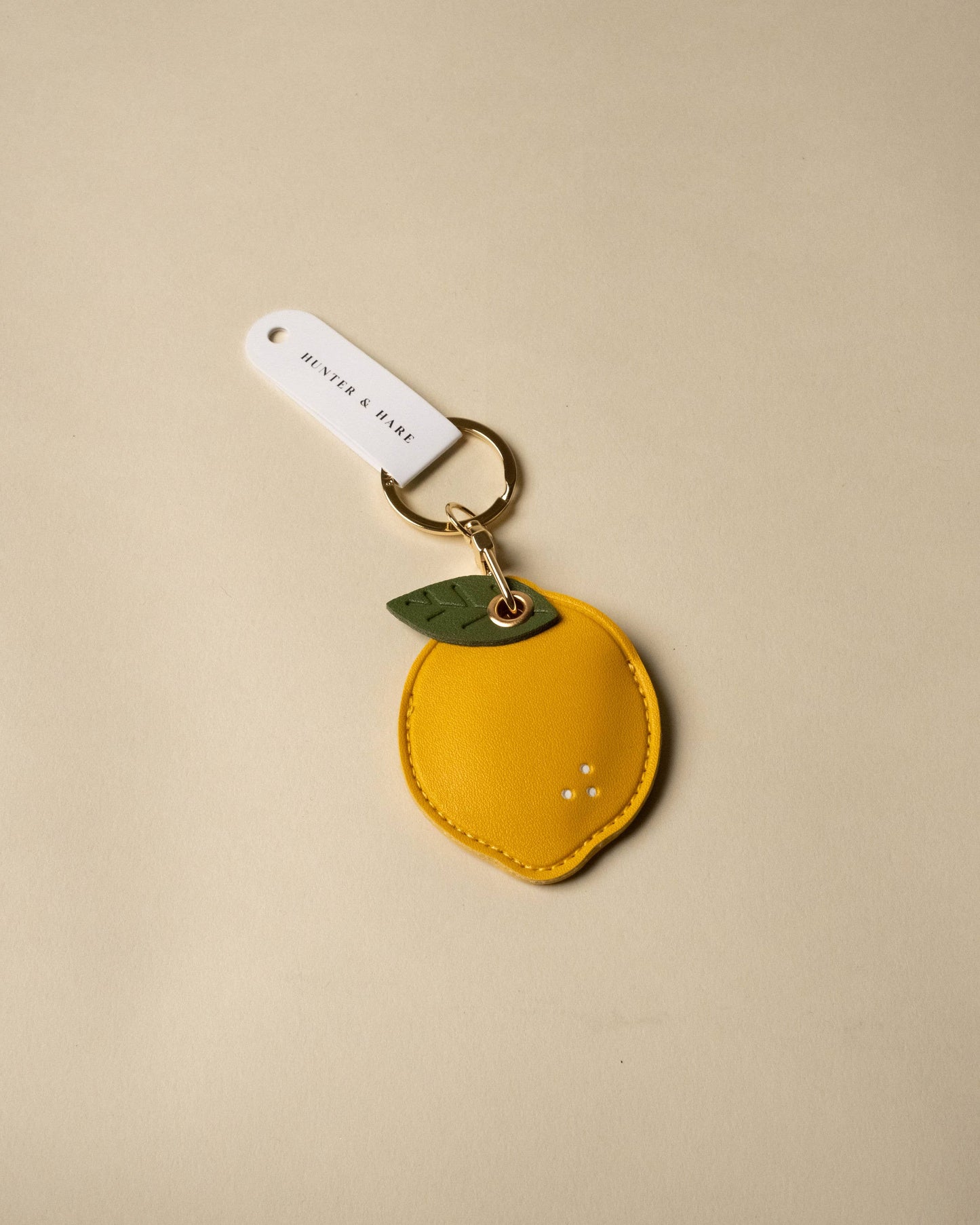 Juicy Fruit Airtag Key Chain and Bag Charm