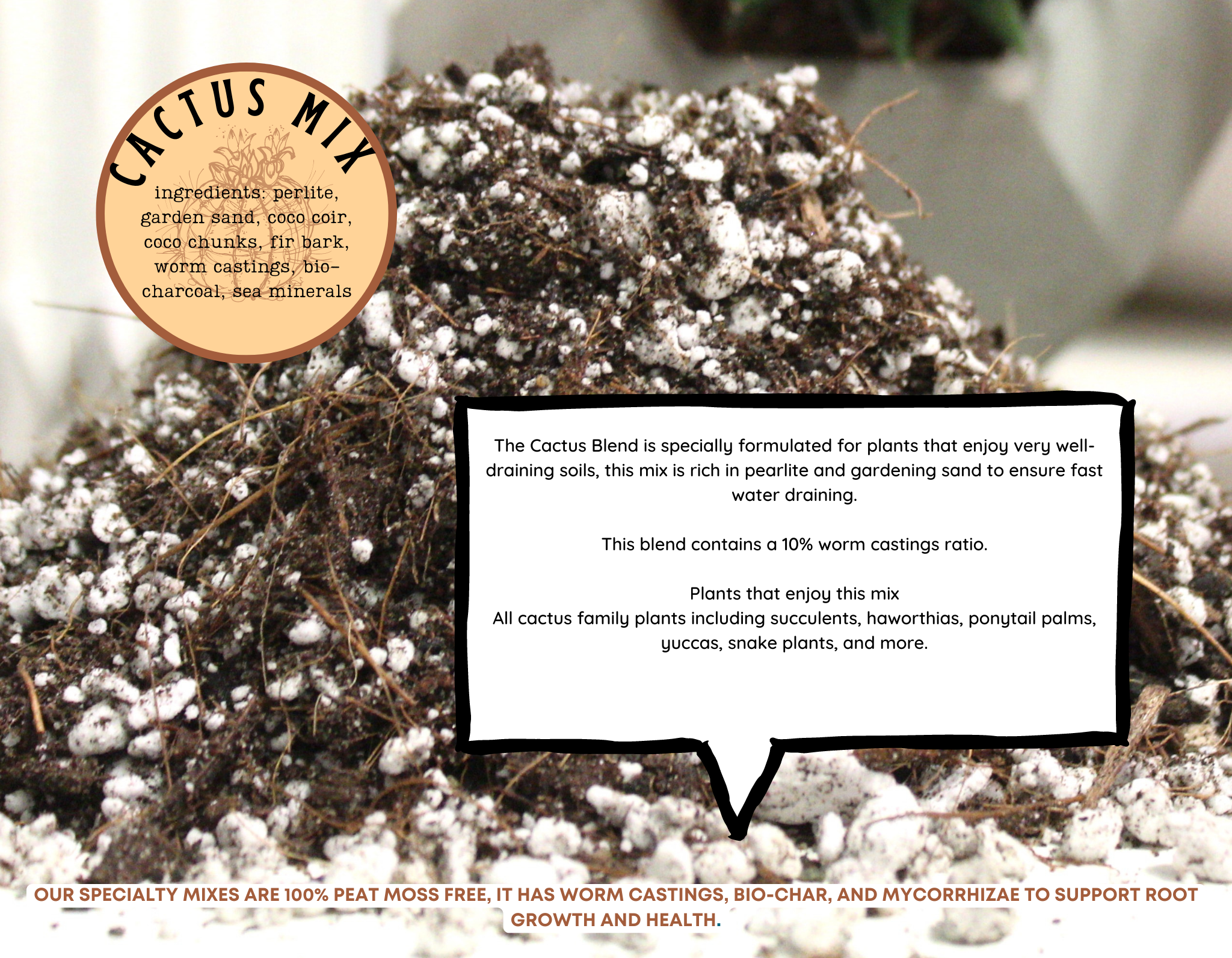 Cactus blend-Potting soil for indoor plants (Copy) (Copy): Small (3 L)