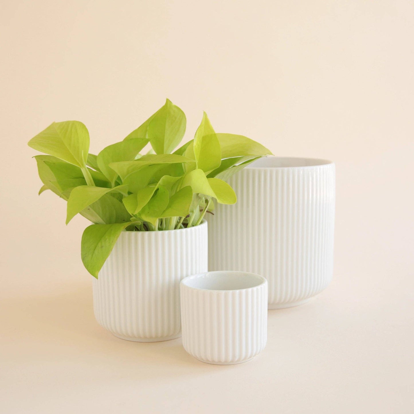 Lucy Pot | White 3" & 4.5"