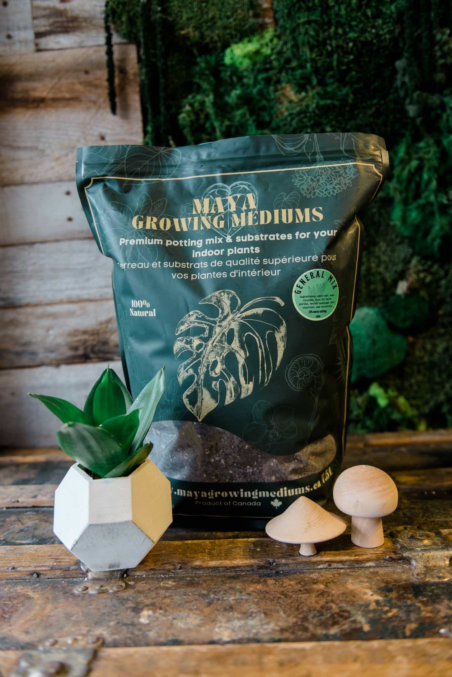 General blend-Potting soil for indoor plants (Copy): Small (3 L)