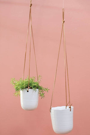 Doni Plant Hanger