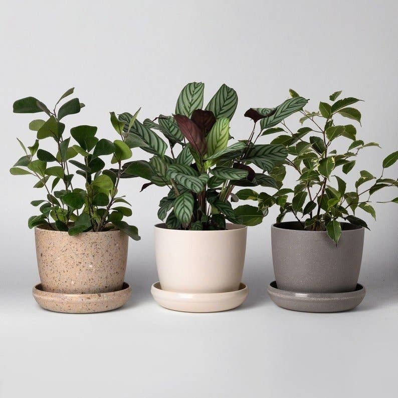 5" Upcycled Mini Planters