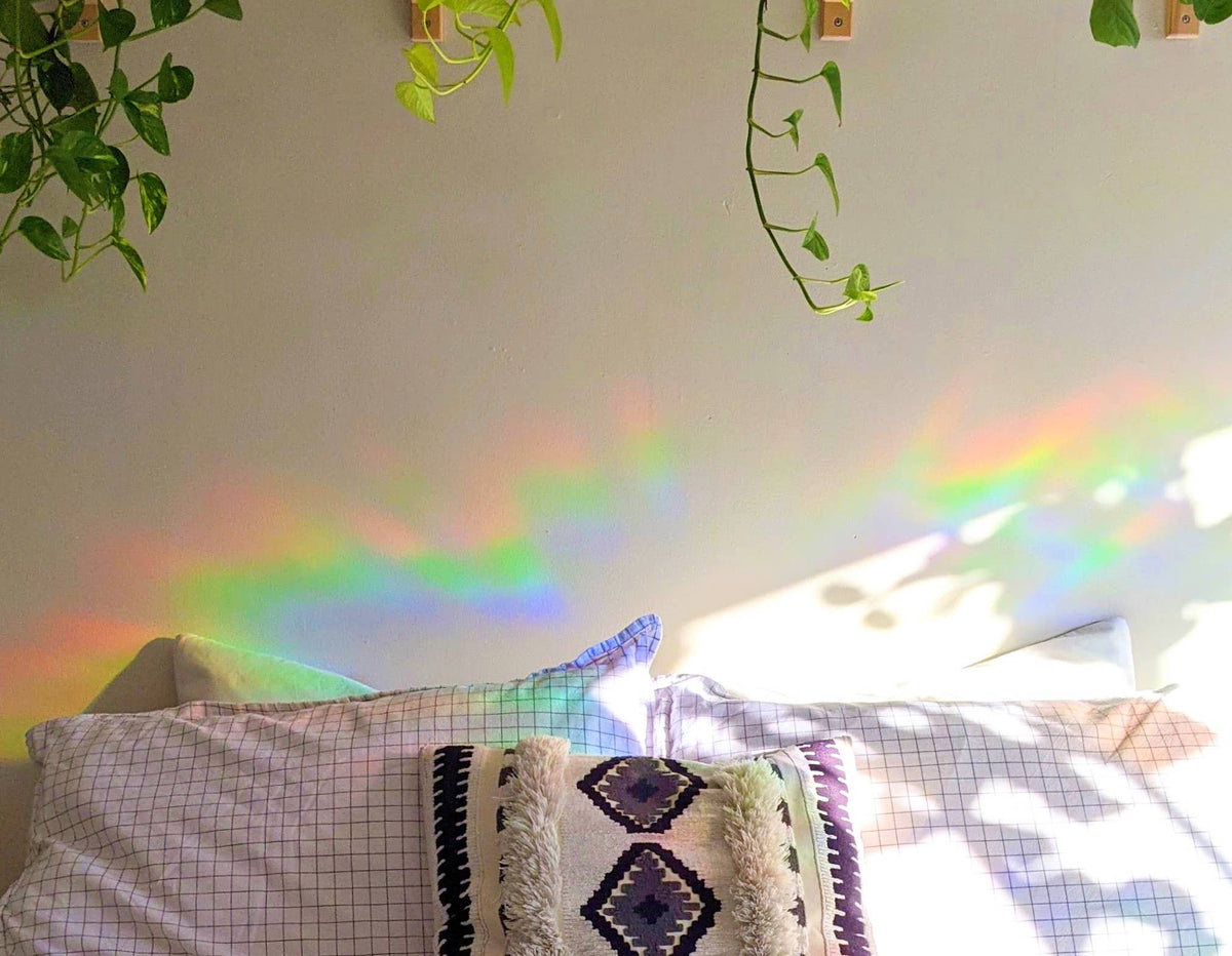 Hummingbird Suncatcher | Window Cling | Rainbow Sticker