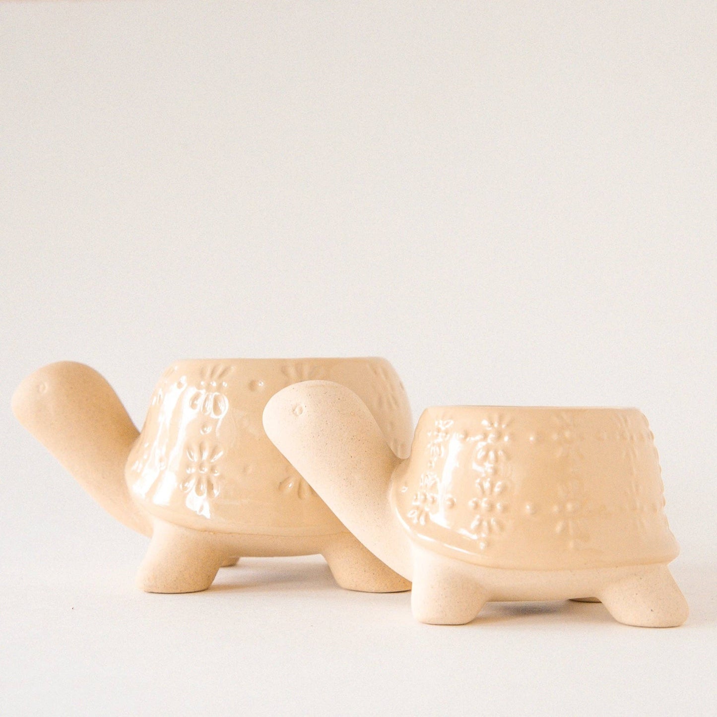 Turtle Planter - Sand