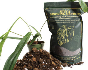 Aroid blend- Potting soil for indoor plants