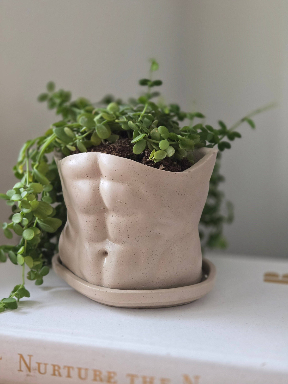 The Boyfriend Planter