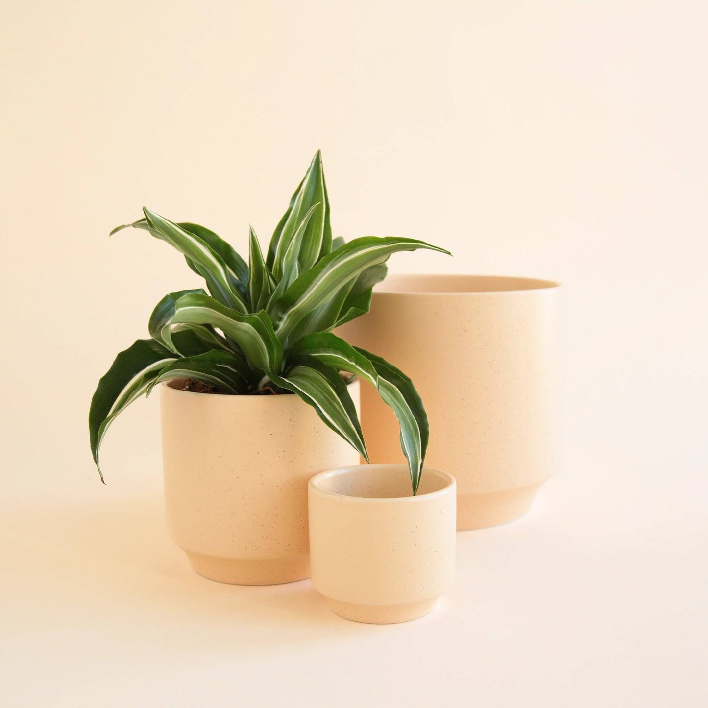 Parker Pot | Vanilla Speckle 4.5" & 6.75"