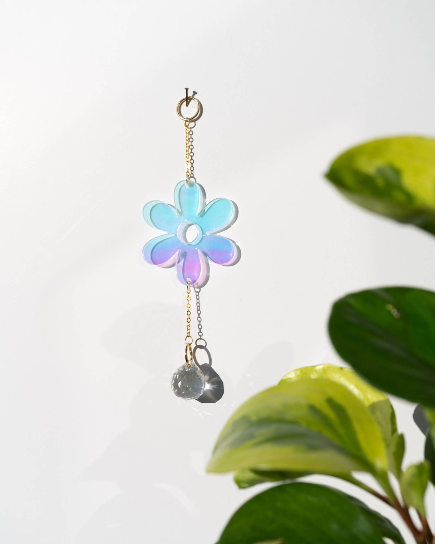 Daisy Singlet Sun Catcher
