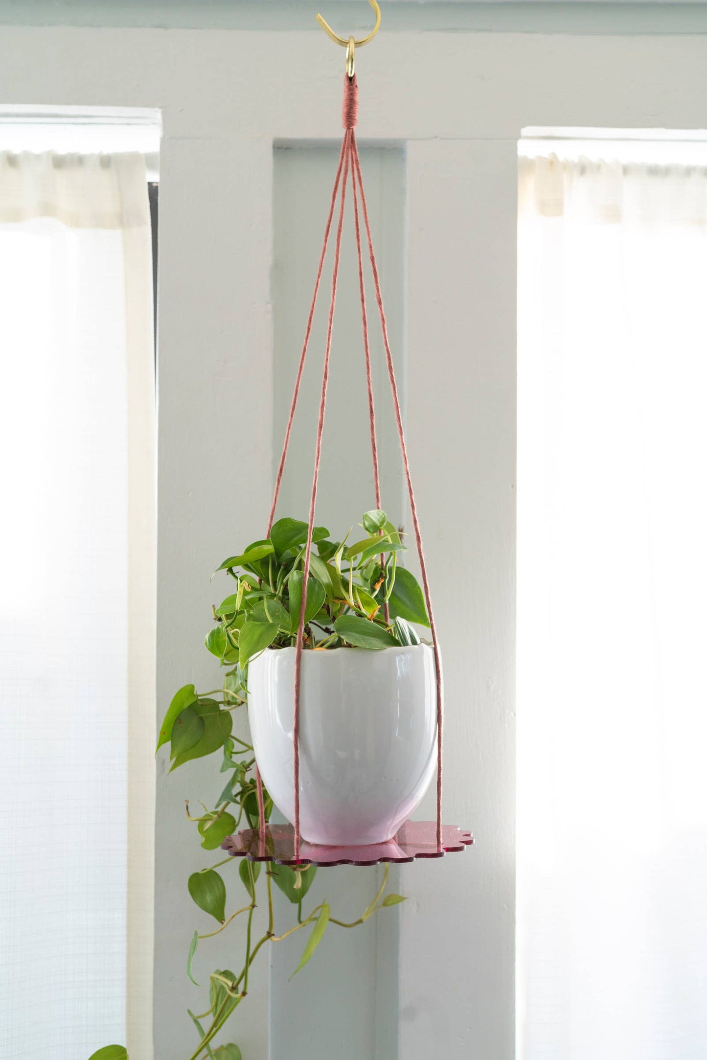 Squiggle Plate Plant Hanger