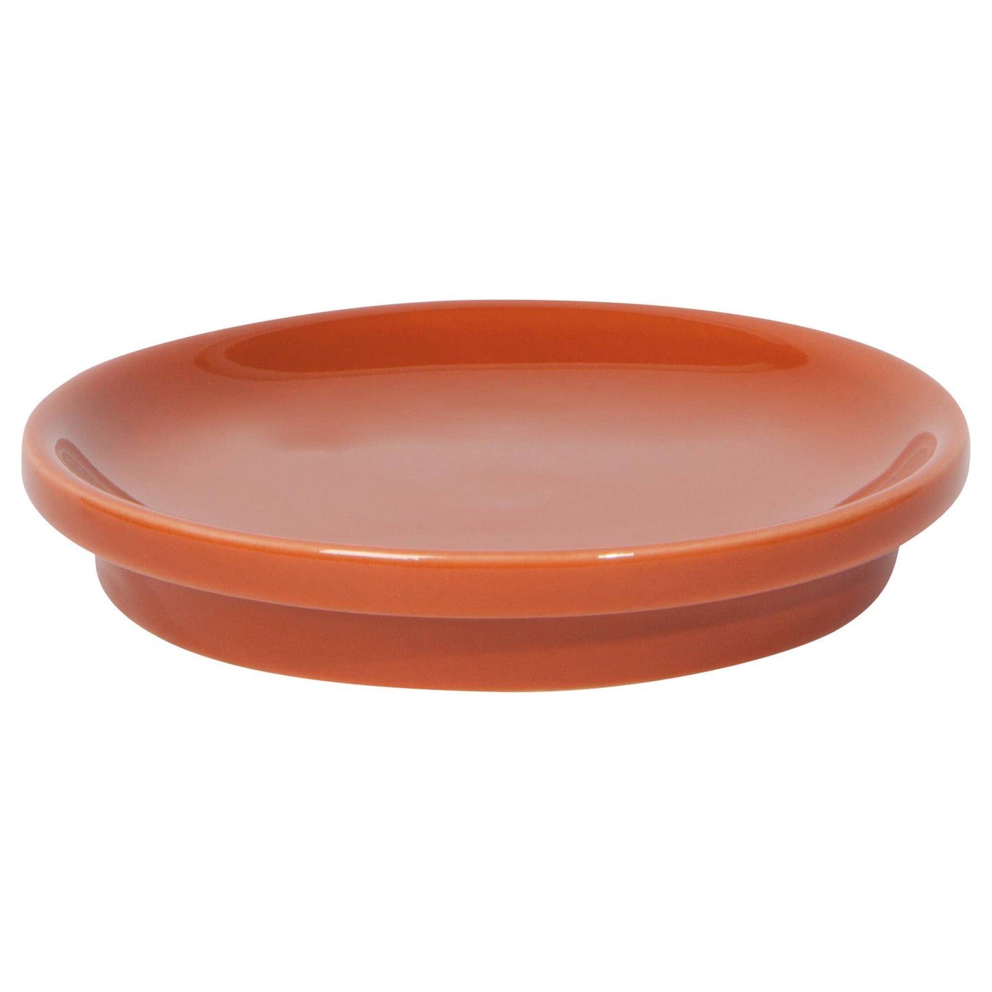Terracotta Tint Mug