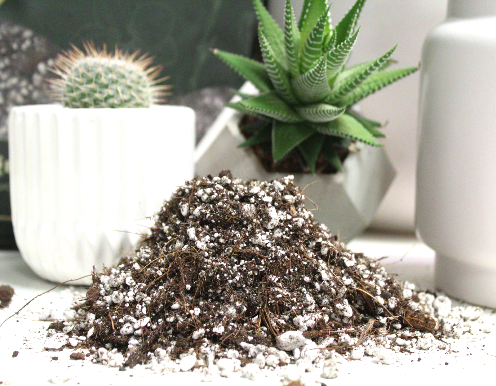 Cactus blend-Potting soil for indoor plants (Copy) (Copy): Large (7.5 L)