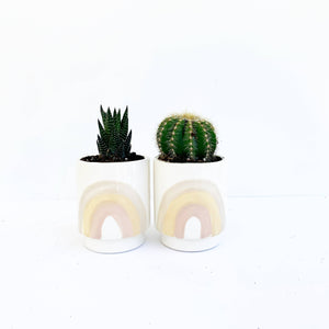 Rainbow Pots