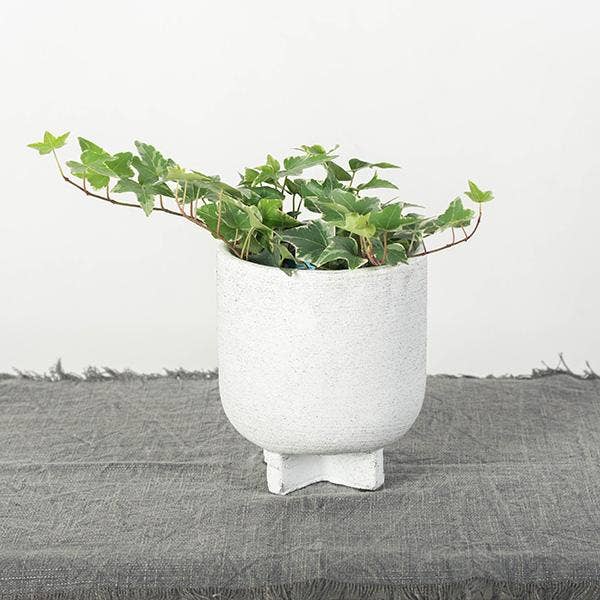 Raised Flower Pot