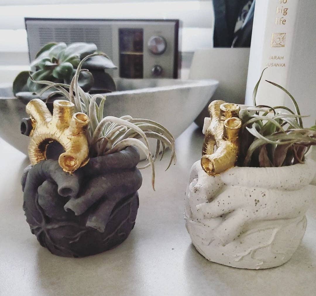 Anatomical Heart