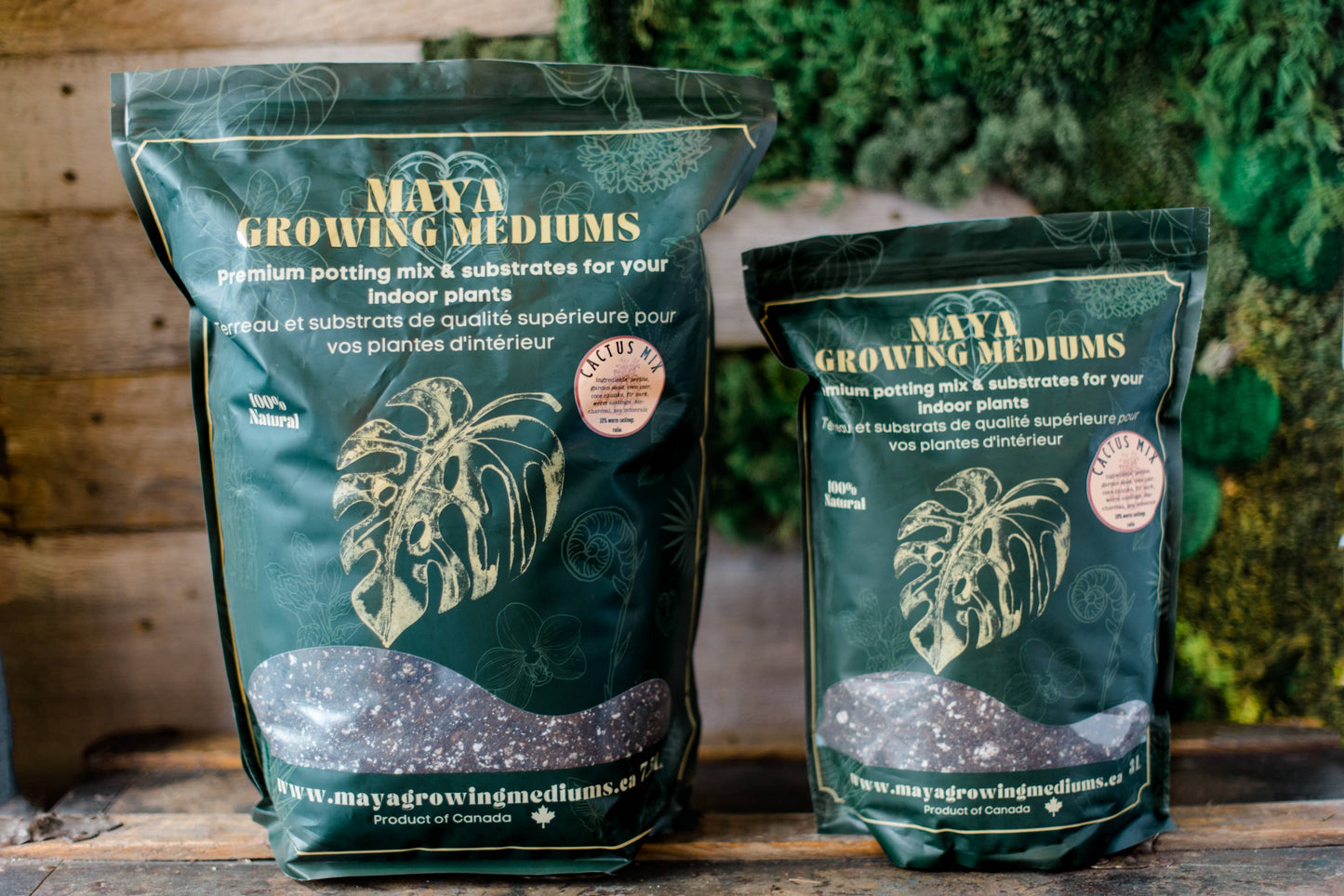 Cactus blend-Potting soil for indoor plants Small (3 L)