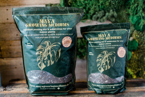 Cactus blend-Potting soil for indoor plants